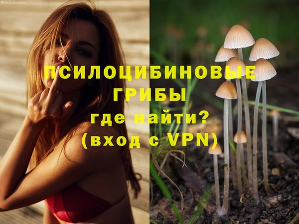 дурь Осташков