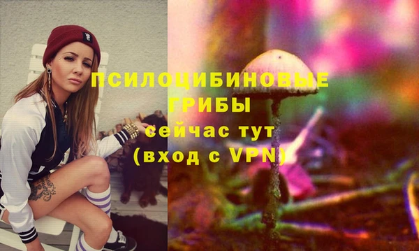 стаф Абдулино