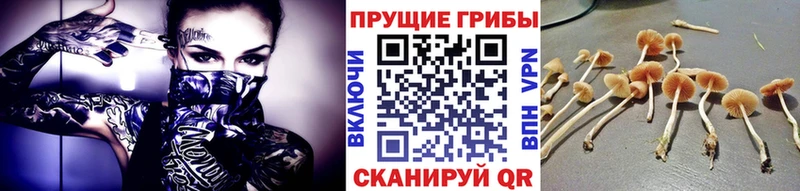 Галлюциногенные грибы Magic Shrooms  как найти   Собинка 